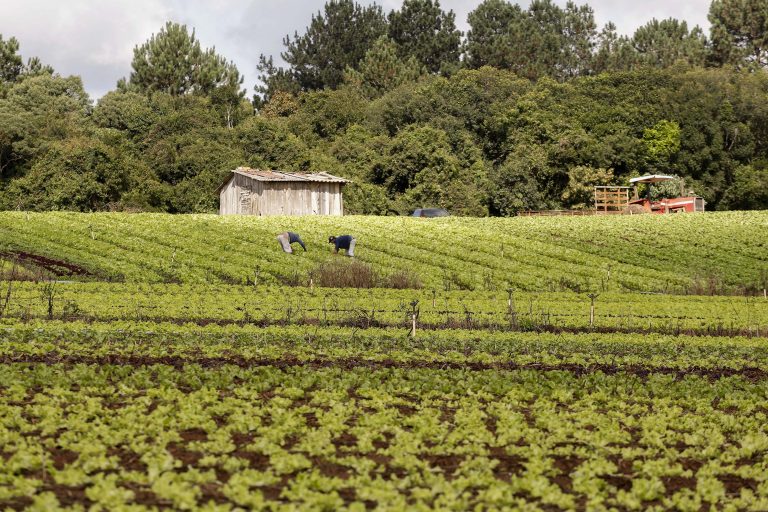LEGISLATIVO: Comissão de Agricultura debate dificuldades para o acionamento do Proagro