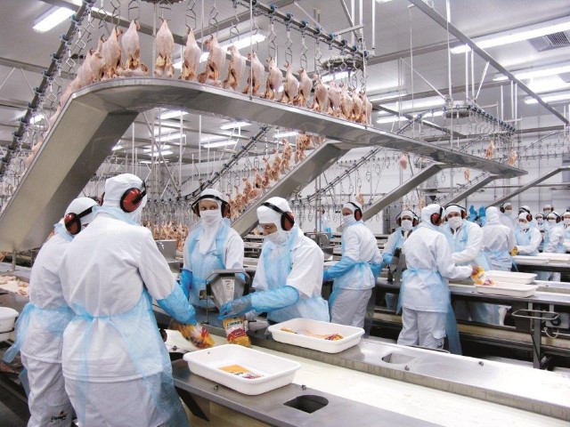 MERCADO: Novas habilitações de frigoríficos brasileiros para exportação de carne de frango halal à Malásia
