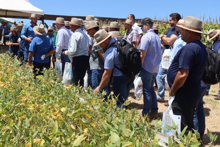 AGRO: Circuito Técnico AgroTec 2024; resultados expressivos no campo