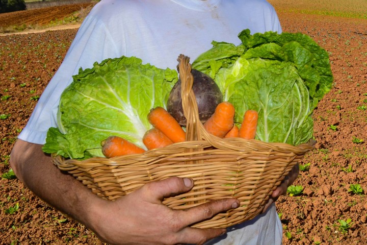 PNAD CONTÍNUA: Paraná é o segundo estado com maior segurança alimentar do Brasil, aponta IBGE