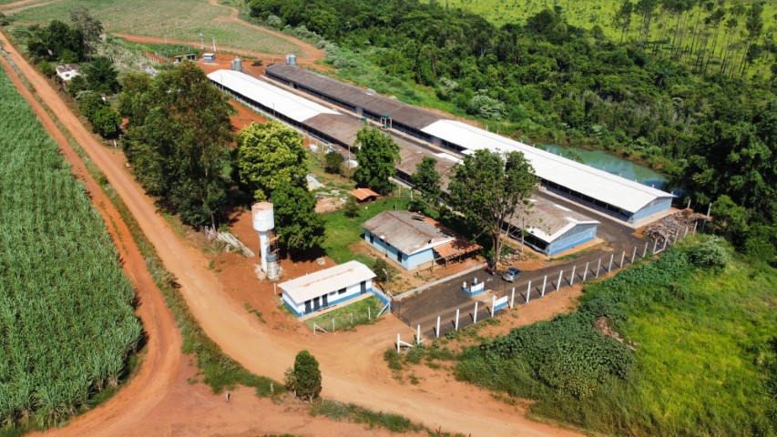 CRÉDITO: Patrocinador da Agrishow 2024, Sicredi se consolida como principal parceiro do agronegócio brasileiro