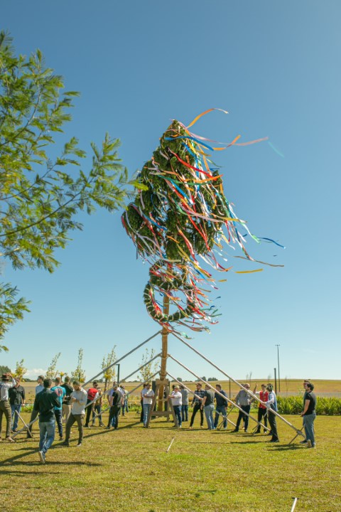 AGRO: Festa da Árvore de Maio 2024 celebra tradição centenária em Entre Rios