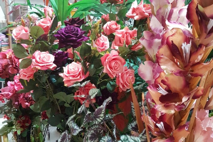 CONJUNTURA AGROPECUÁRIA: Produção de rosas dobrou de tamanho no Paraná na última década