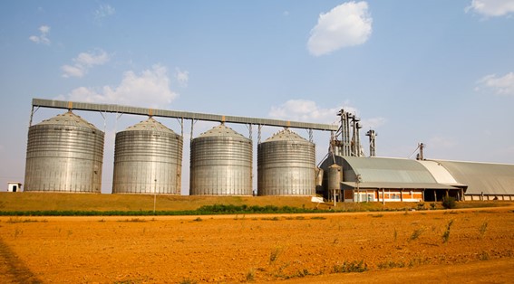 IBGE: Safra de 2024 deve ficar em 299,6 milhões de toneladas, 5,0% menor do que a de 2023