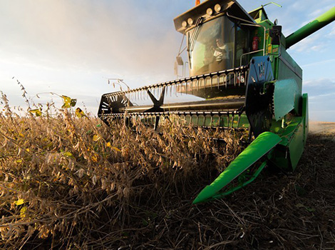 CRÉDITO RURAL: Mais de R$ 347 bilhões foram contratados até abril na safra 2023/24 