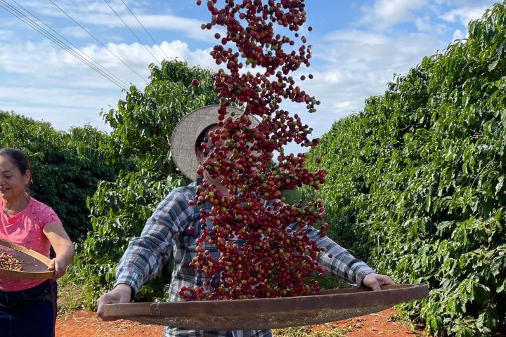 PRÊMIO: Estão abertas as inscrições para a 22ª edição do concurso Café Qualidade Paraná
