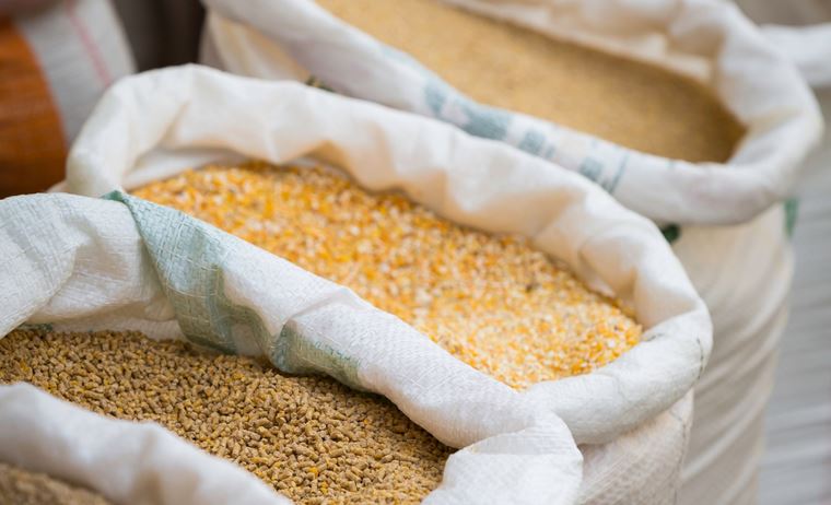 AUTOCONTROLE: Governo Federal publica Decreto que regulamenta a inspeção e fiscalização de produtos para alimentação animal