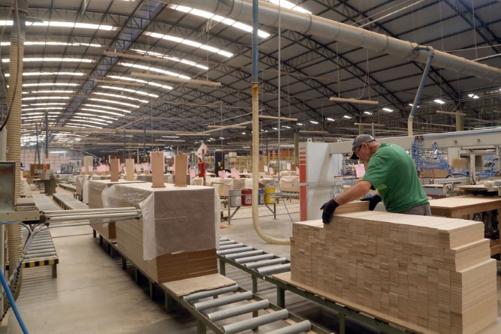 CAGED: 80% dos municípios paranaenses registraram aumento de empregos formais em 2024