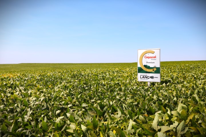 AGRO: Copacol conquista certificação por excelência em tratamento de sementes