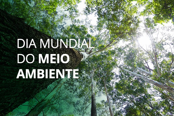MEIO AMBIENTE: No Dia Mundial, Cocari destaca atuação ética e responsável em toda sua área de ação