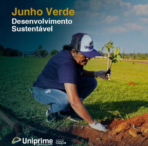 MEIO AMBIENTE: Concluído o plantio de 100 árvores em Toledo