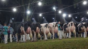 AGRO: Expoleite prepara programação especial para a 50ª edição