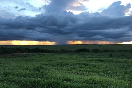 IDR-PR: Boletim Agrometeorológico de maio indica excesso de chuvas no Sul e escassez no Norte