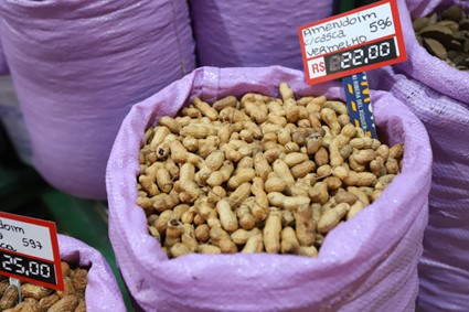 CONJUNTURA AGROPECUÁRIA: Típico das festas juninas, amendoim tem maior área plantada no Paraná em 12 anos