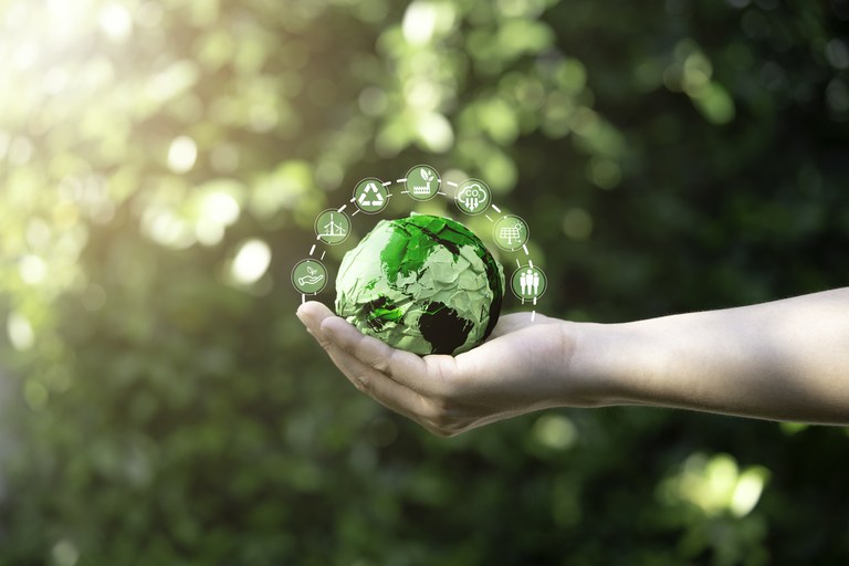DECRETO 12.063: Governo Federal institui Programa Selo Verde Brasil para normalizar e certificar produtos e serviços de origem sustentável