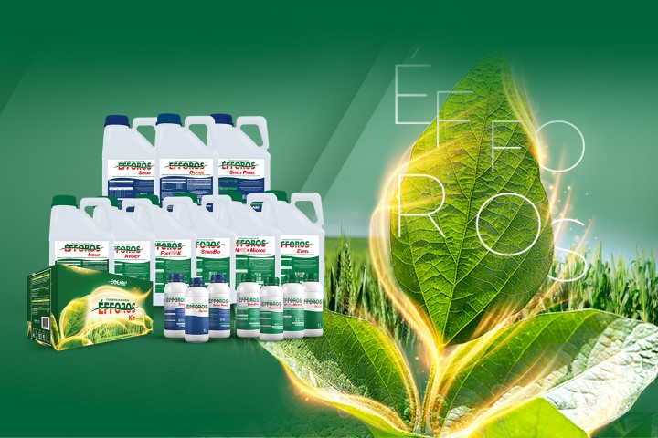 AGRO: Cocari indica produtos Éfforos para o manejo das plantas no inverno
