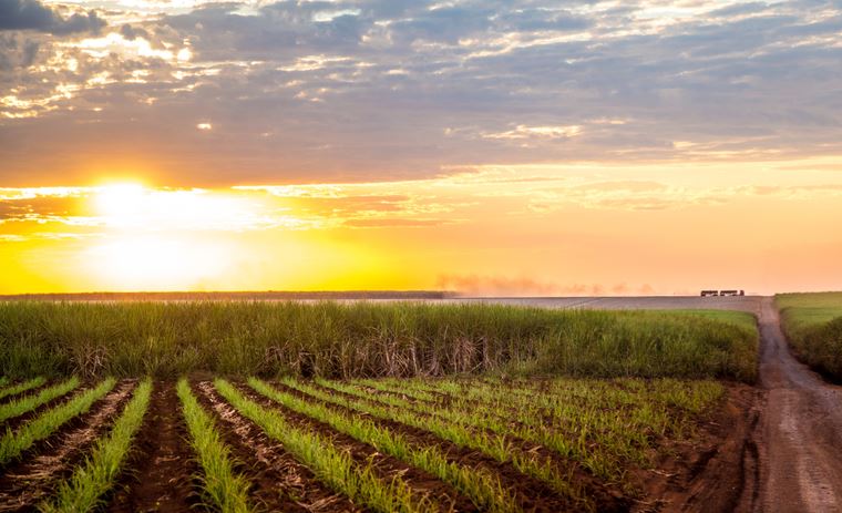 INMET: Como será o clima no Brasil em julho?