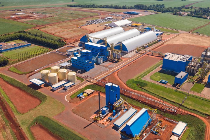 AGRO: Cooperativismo decola com agroindustrialização