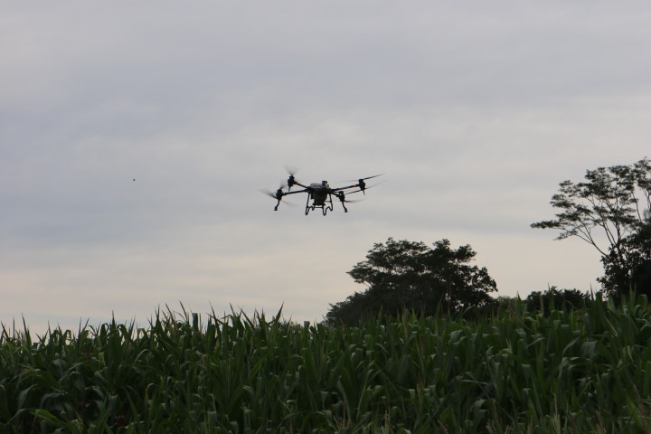 AGRO: Drone de pulverização proporciona equilíbrio entre rentabilidade e sustentabilidade