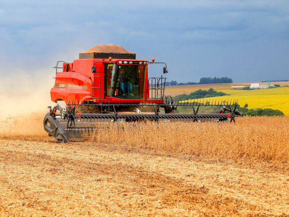 conjuntura agro 13 12 2024