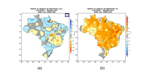 Imagem1