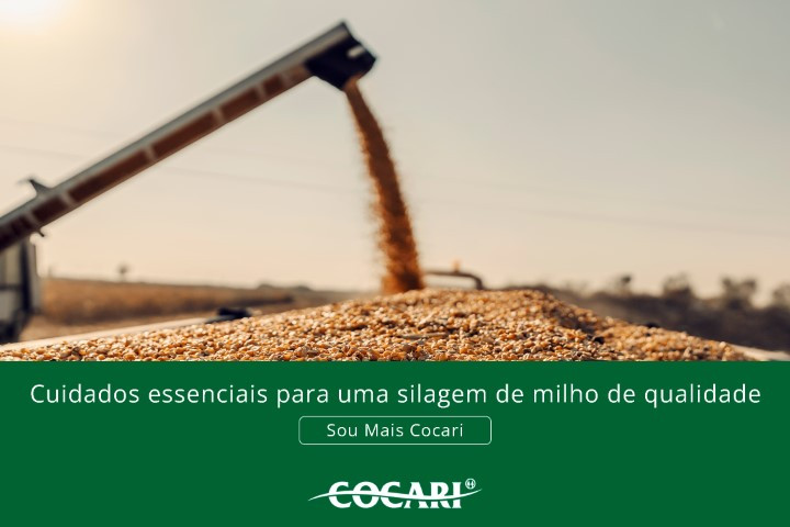cocari 24 02 2025