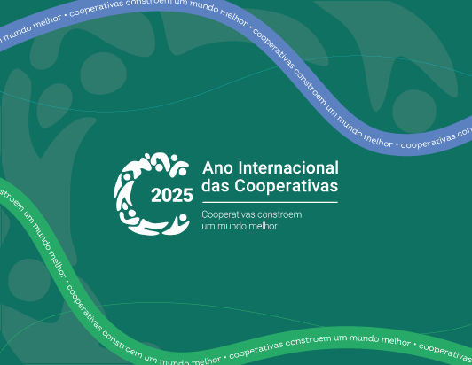 ano internacional 12 03 2025