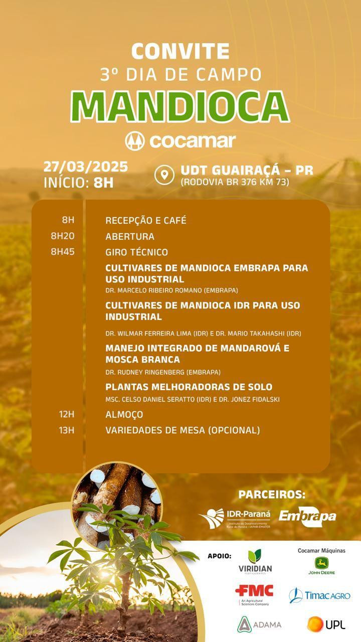cocamar folder 20 03 2025
