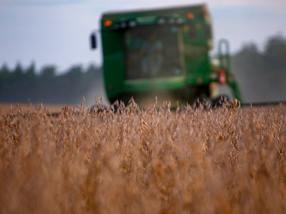 Valor repassado em crédito rural supera os R$ 274 bilhões até março