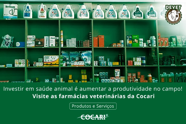 cocari 16 06 2025