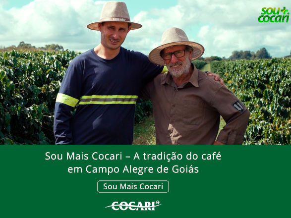cocari II 16 06 2025