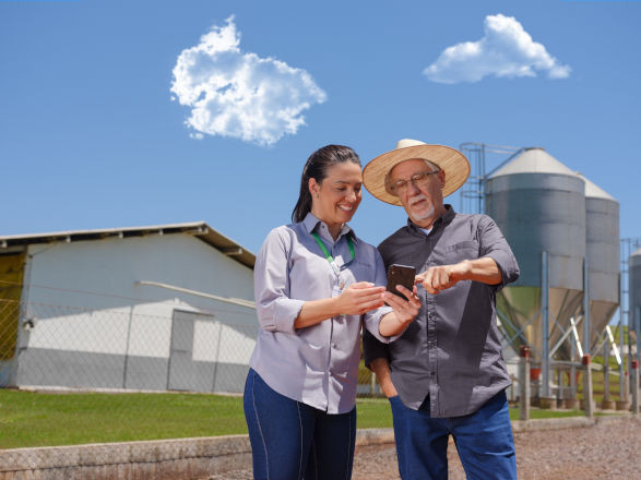 Safra 2025/2026: Sicredi prevê liberação de R$ 22 bilhões para produtores rurais do PR, SR e RJ