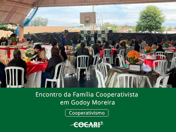 cocari 20 06 2025