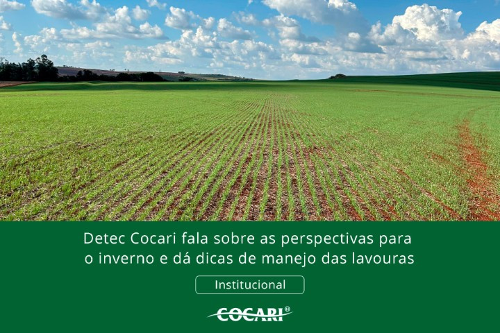 cocari 20 06 2025 2