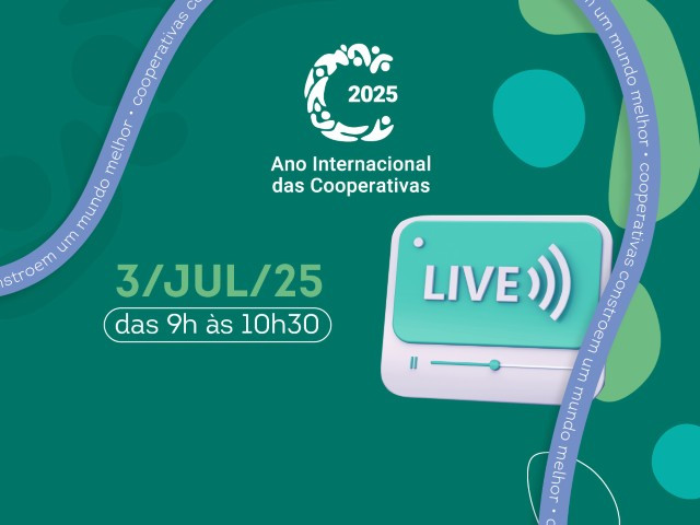 ano internacional 24 06 2025