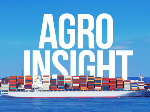 Mapa lança banco de dados do AgroInsight com oportunidades de exportação identificadas por adidos agrícolas