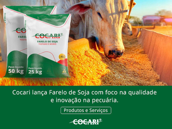 cocari 07 07 2025