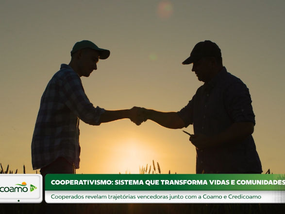 coamo II 09 07 2025