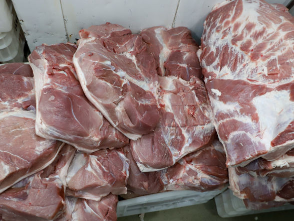 exportacoes suinos 11 07 2025