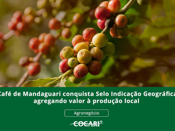 Café de Mandaguari conquista Selo Indicação Geográfica agregando valor à produção local