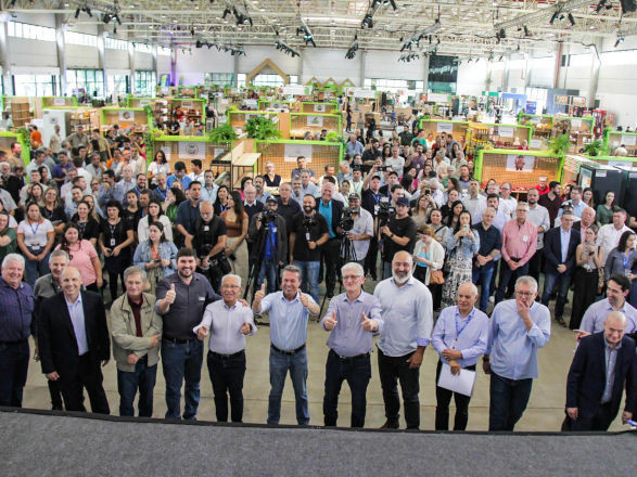 Queijos, doces, vinhos: Feira Sabores do Paraná 2025 apresenta as delícias do Estado
