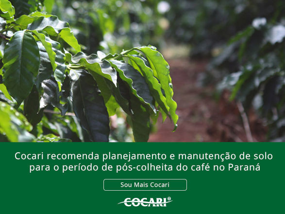 cocari II 04 09 2025