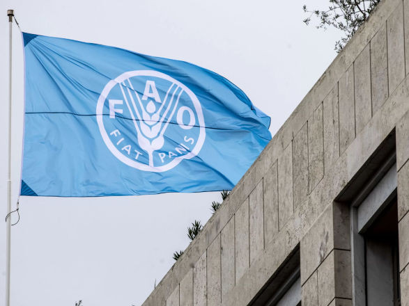 fao 18 09 2025