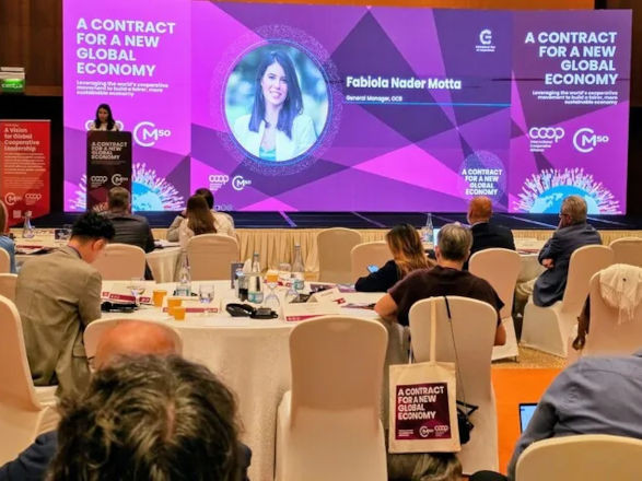 ano internacional 11 10 2025