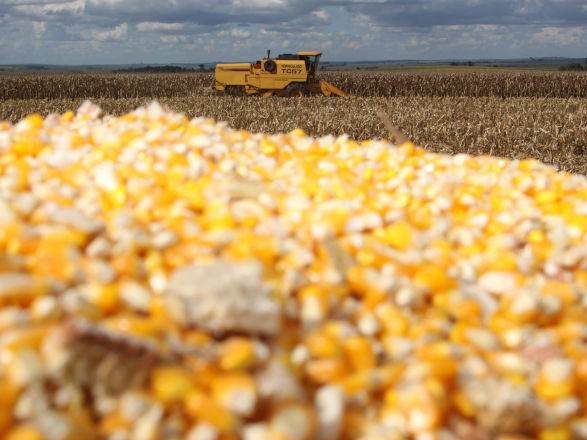 seab deral 19 12 2025