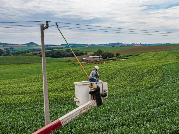 pr trifasico 22 12 2025