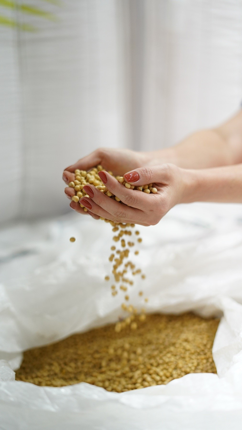 intercooperacao 15 01 2026