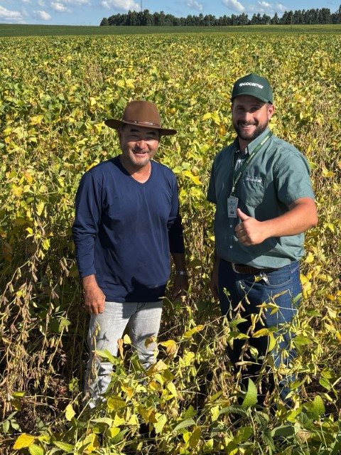 cocamar II 26 02 2026