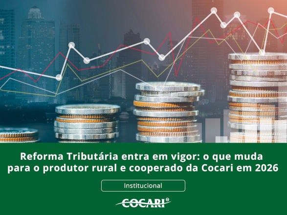 cocari 04 03 2026