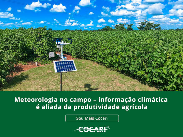 cocari II 23 03 2026